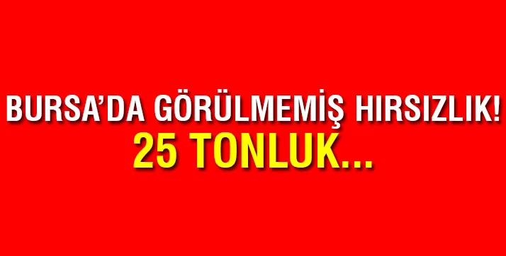 Bursa'da 25 tonluk kepçeyi çaldılar