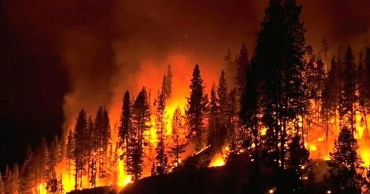 Bursa'da 2 orman yangını çıktı, ekipler anında müdahale etti