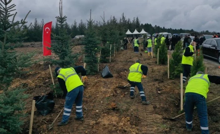 Bursa'da 7,5 milyon fidan toprakla buluşacak