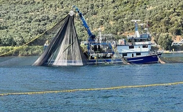 Bursa'da denize deneme ağları atıldı