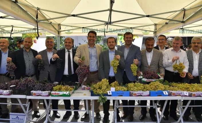 Bursa'da en güzel üzümler yarıştı