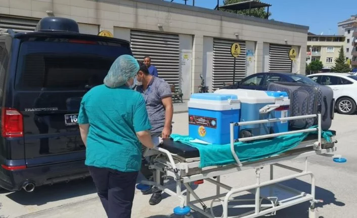 Bursa'da hayatını kaybeden Furkan 3 hastaya umut oldu