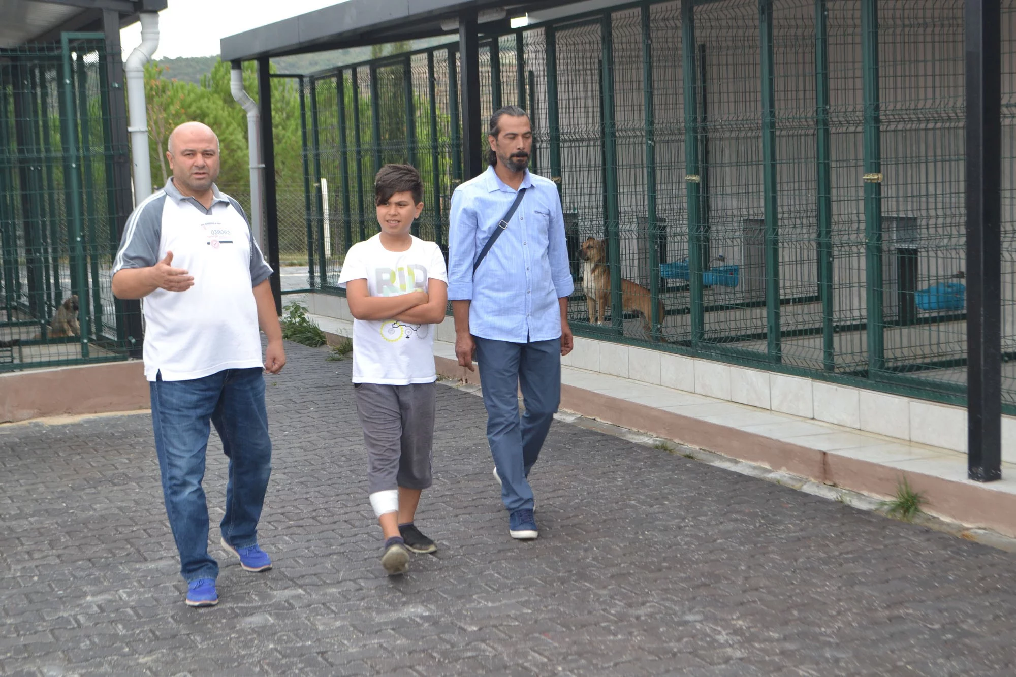Bursa'da iki çocuğu ısıran köpek yakalandı, karantinaya alındı