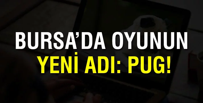 Bursa'da internetten köpek almak isterken dolandırıldı