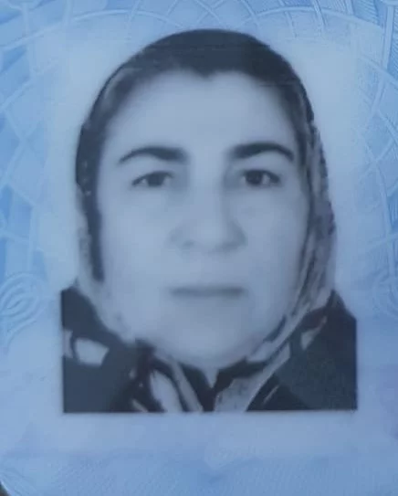 Bursa'da keçi otlatırken yıldırım çarpan kadın hayatını kaybetti