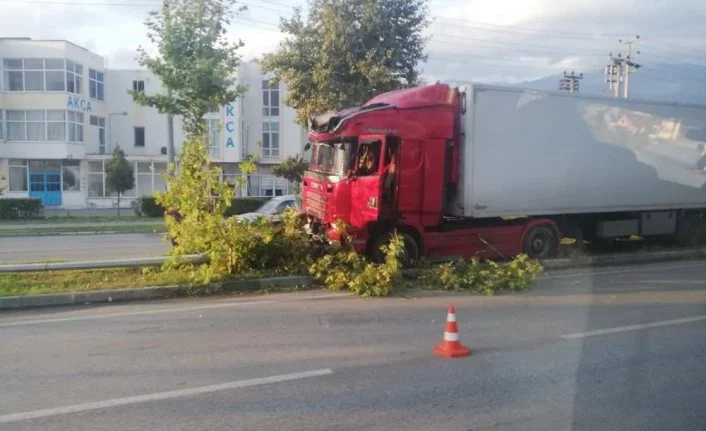 Bursa'da kontrolden çıkar tırı, ağaçlar durdurdu