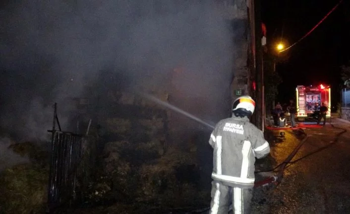 Bursa'da orman yangını paniği herkesi korkuttu