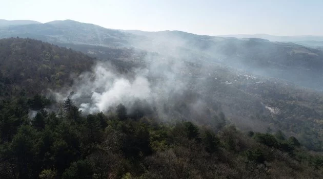 Bursa'daki orman yangınında 10 dönümlük alan zarar gördü