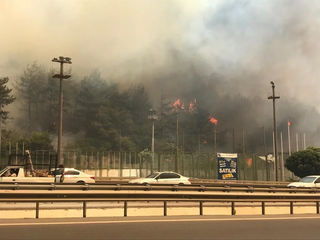 Bursa'daki yangını söndürmek için Balıkesir ve Karabük'ten helikopter, Ankara'dan uçak istendi