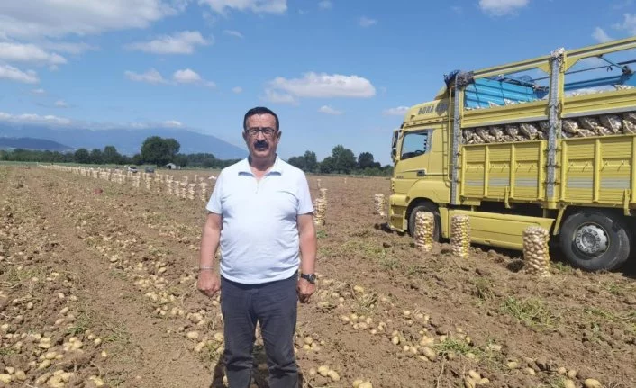 Bursa’da patates hasadı başladı...
