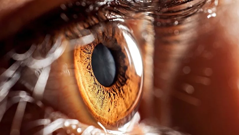 Hasarlı retina körlüğe neden olur!