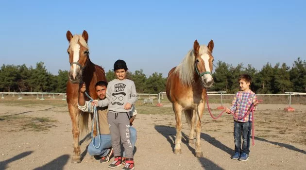 İzmir’in fayton atları ikinci baharı Bursa’da yaşıyor