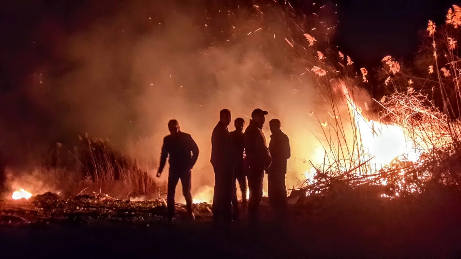 İznik'te 13 saattir devam eden yangın söndürüldü