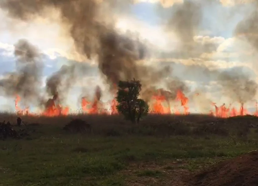 İznik'te sazlık yangını