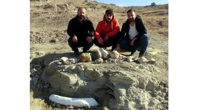 Kayseri'de 7,5 milyon yıllık yeni fosil bulundu