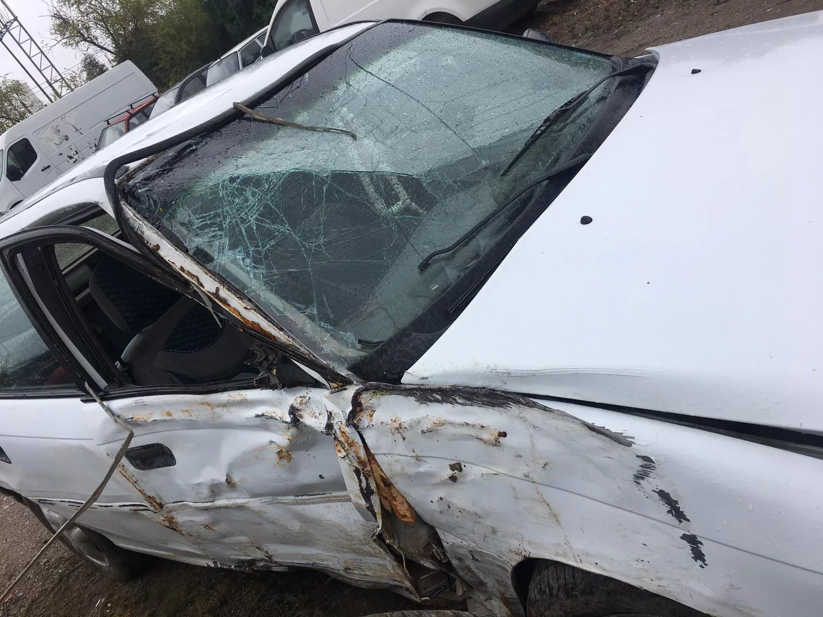Kontrolden çıkan otomobil, ağaca çarptı, sürücü öldü