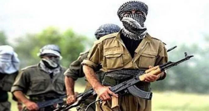 Mardin ve Şırnak’ta 2 terörist güvenlik güçlerine teslim oldu