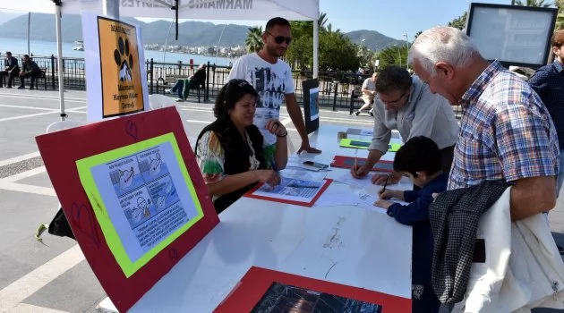 Marmaris'te 'yunus parkının kapatılması' için imza kampanyası