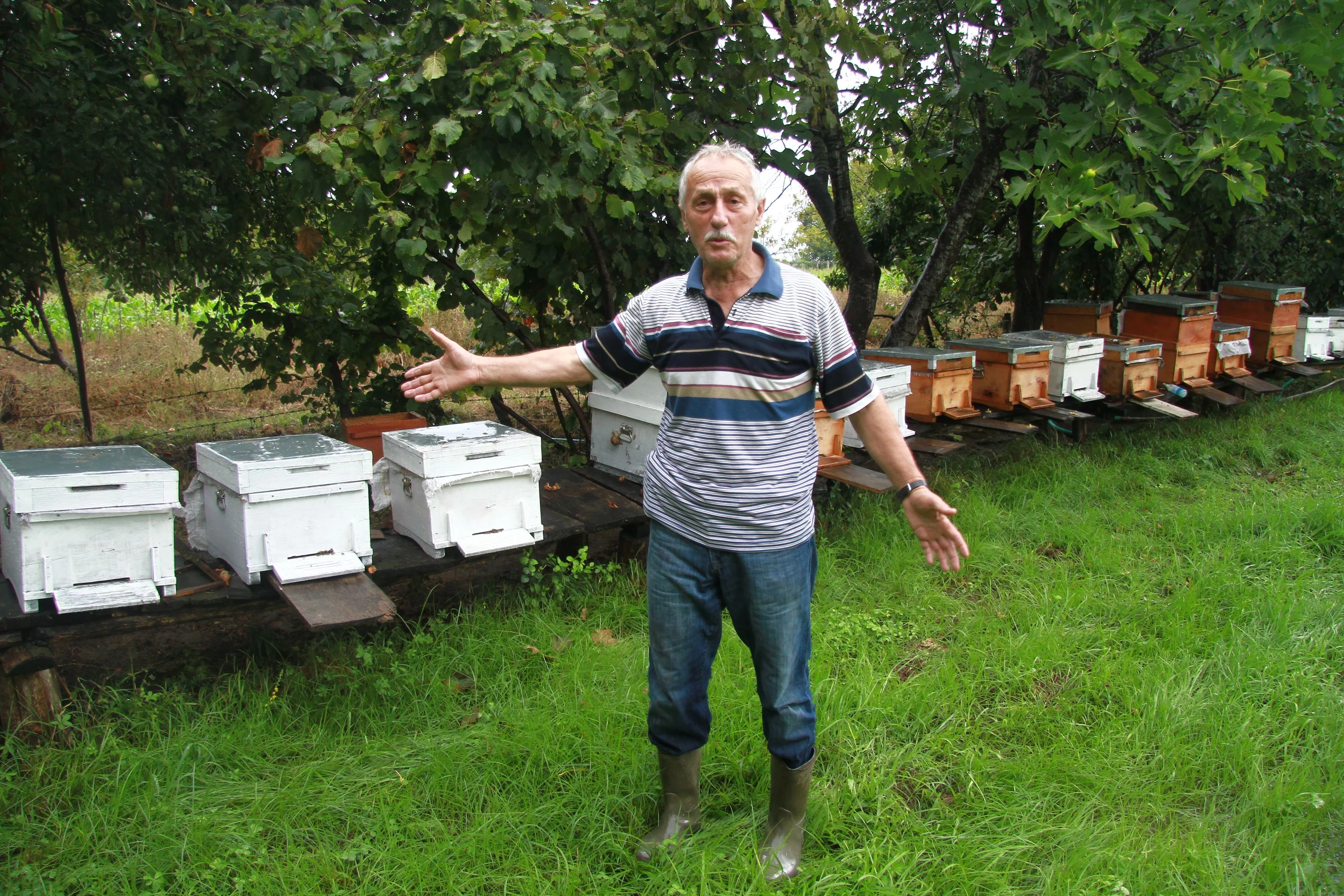 Metrekareye 70 kilogram yağış düştü, binlerce arı telef oldu