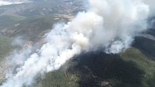 Orhaneli'deki orman yangınına 3 gözaltı