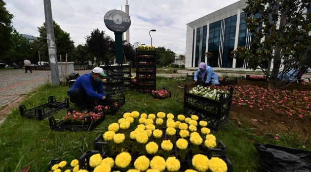 Osmangazi’de Mevsimlik Çiçek Ekimi Başladı