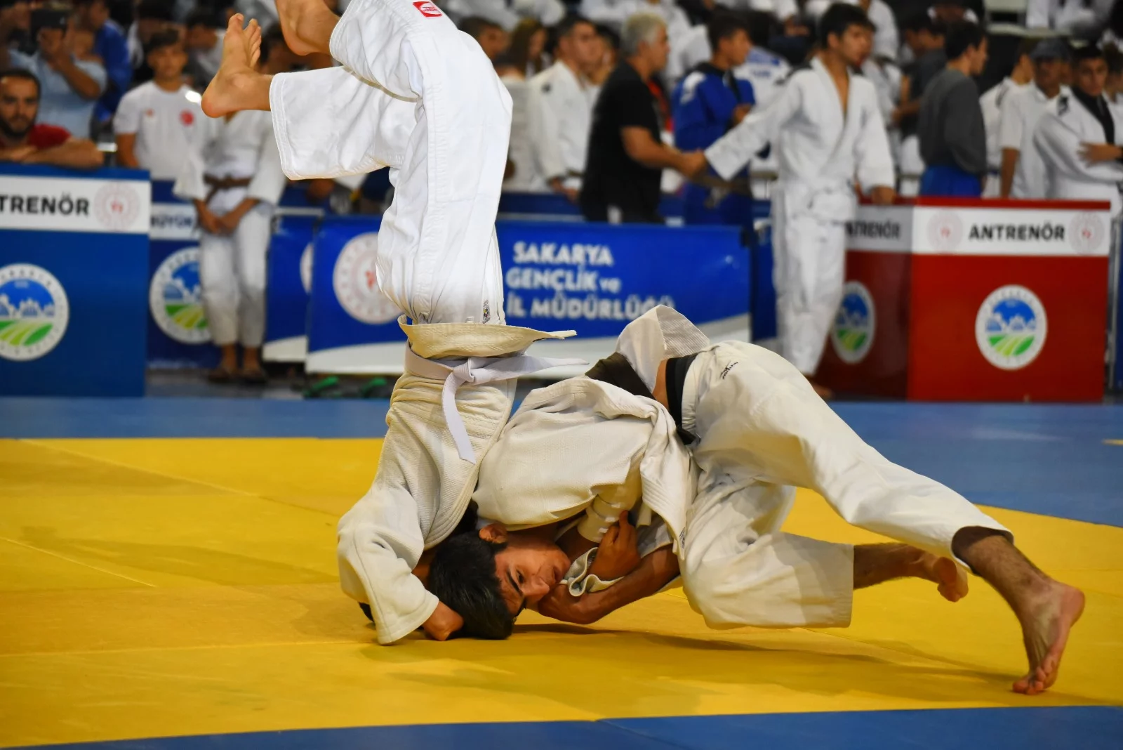 Osmangazili judoculardan altın ve bronz madalya