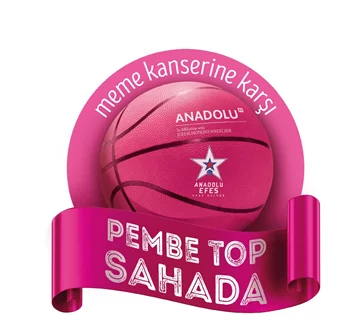 Pembe Top Sahada projesine yurtdışından 2 ödül