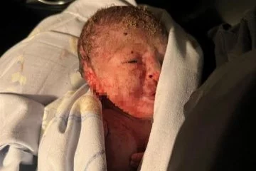Pendik'te yeni doğmuş bir bebek bulundu