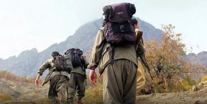 PKK'nın İskandinavya Sorumlusu Danimarka'da Yakalandı