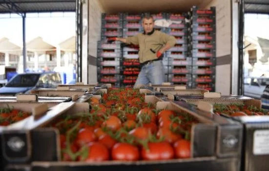 Rusya'nın domatese uyguladığı kota, 200 bin tona çıkarıldı