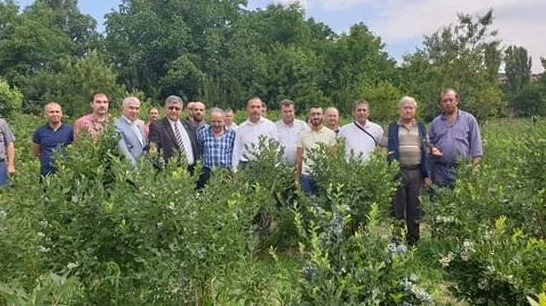 Tarım Müdürü Hamit Aygül'den Orhanelili çiftçiye ziyaret