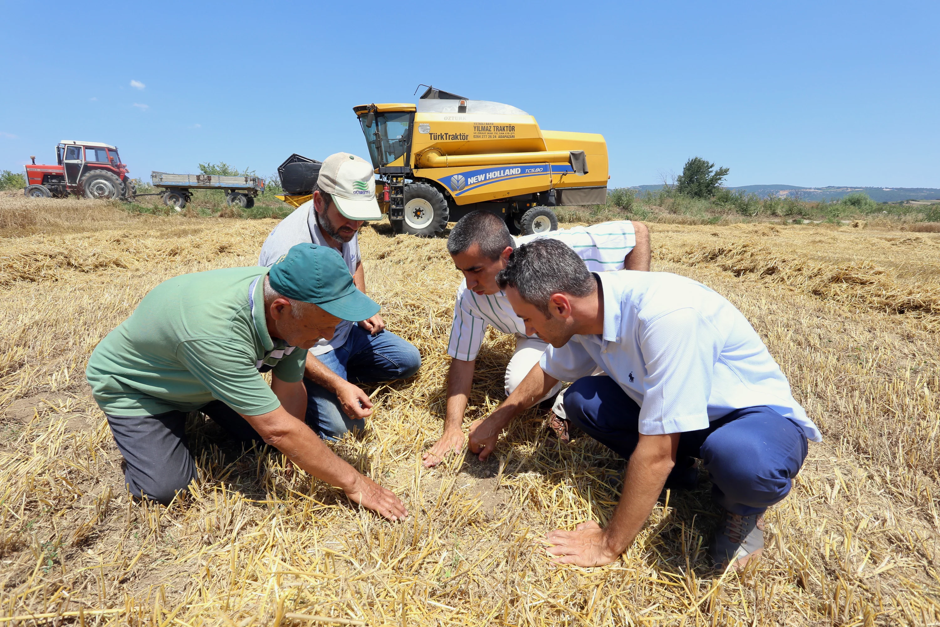 Yenişehir'de buğday tanelerini tek tek toplayıp tartıyorlar